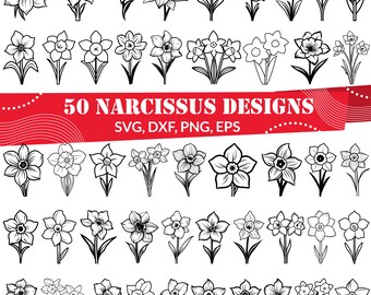 50 Narcissus Flower SVG Bundle, Daffodil Blossom Silhouette, Spring Floral PNG, Botanical Garden Vector, Flower Art