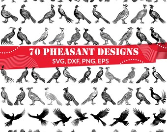 Fazanten SVG-bundel, 70 fazantenontwerpen, snijbestanden voor Cricut met afbeeldingen van jachtvogels.