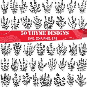 Timo SVG / Clipart di erbe / Design culinario botanico