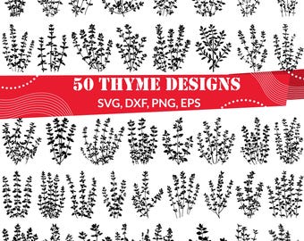 Tomillo SVG / Clipart de hierbas / Diseño culinario botánico