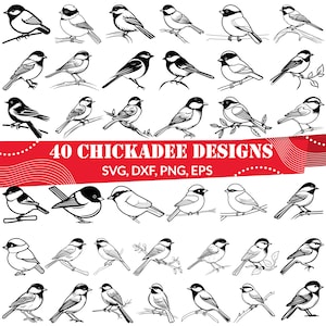 Könnte beinhalten: Ein Set mit 40 Schwarzweiß-Illustrationen von Meisen. Die Vögel sind in verschiedenen Posen dargestellt, einige sitzen auf Ästen, einige fliegen und einige singen. Die Illustrationen sind perfekt für Basteln, Scrapbooking und andere kreative Projekte. SVG, DXF, PNG, EPS.