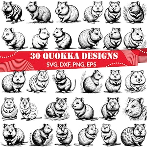 かわいいクオッカ SVG、クオッカ クリップアート、オーストラリアの動物 SVG、かわいいクオッカ ベクター、クオッカ Cricut ファイル、野生動物デジタル ダウンロード