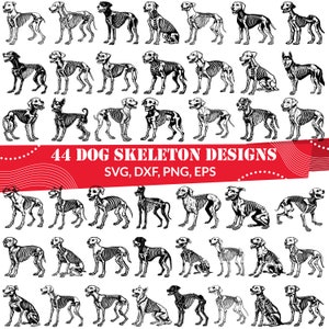 Dog Skeleton SVG Bundle, Dog Skeleton dxf, Dog Skeleton png, Dog Skeleton vector, Dog Skeleton outline, Dog Skeleton clipart,Skeleton Dog