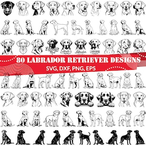 Op de afbeelding: Een set van 80 zwart-witte illustraties van Labrador Retriever honden in verschillende poses. De illustraties zijn perfect voor knutselprojecten, zoals T-shirtontwerpen, stickers en meer.