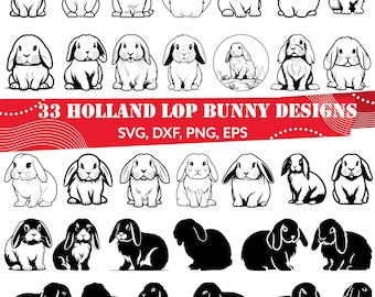 Holland Lop Bunny SVG Bundle, Holland Lop Rabbit svg, Lop-Eared Rabbit svg, Mini Lop svg, English Lop svg, Holland Lop png