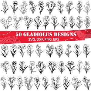 Gladiolus SVG | Elegant Flower Clipart | Botanical Design
