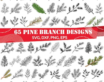 Rama de pino SVG PNG para Cricut y Silhouette / Clipart de ramitas de hoja perenne / Archivo de corte de follaje invernal / Diseño rústico de vegetación navideña