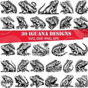 Bundle SVG iguane, dxf iguane, png iguane, vecteur iguane, contour iguane, clipart iguane, svg iguane vert, svg lézard, svg reptile
