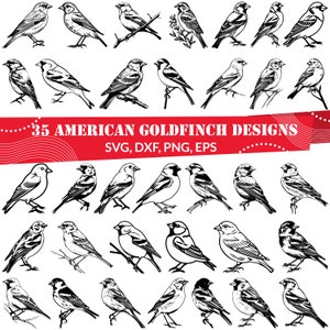35 American Goldfinch SVG Bundle | Songbird Clipart | Files for Cricut, Sublimation, Laser Cut | Birdwatching Craft Design