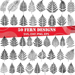 Fern SVG | Botanical Clipart | Nature-Inspired Leaf Design