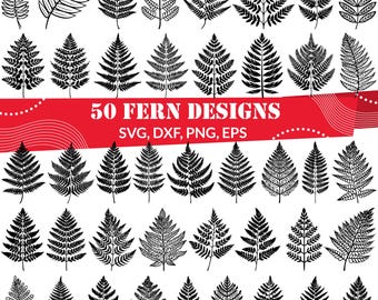 Fern SVG | Botanical Clipart | Nature-Inspired Leaf Design