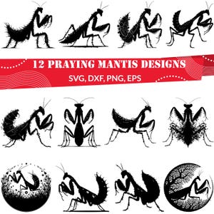 Praying Mantis SVG Bundle | 12 Insect Clipart and Mantis Silhouette Designs |Files for Cricut, Nature Crafts & Entomology Projects