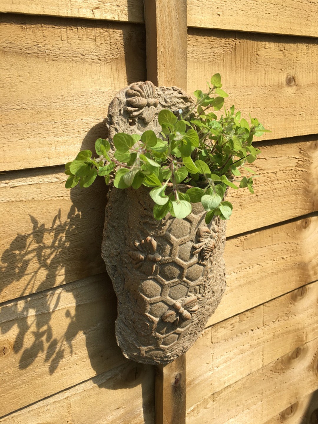 Bee Hive Wall Planter: Sandy Textured Plant Pot With 3D Bees - Etsy