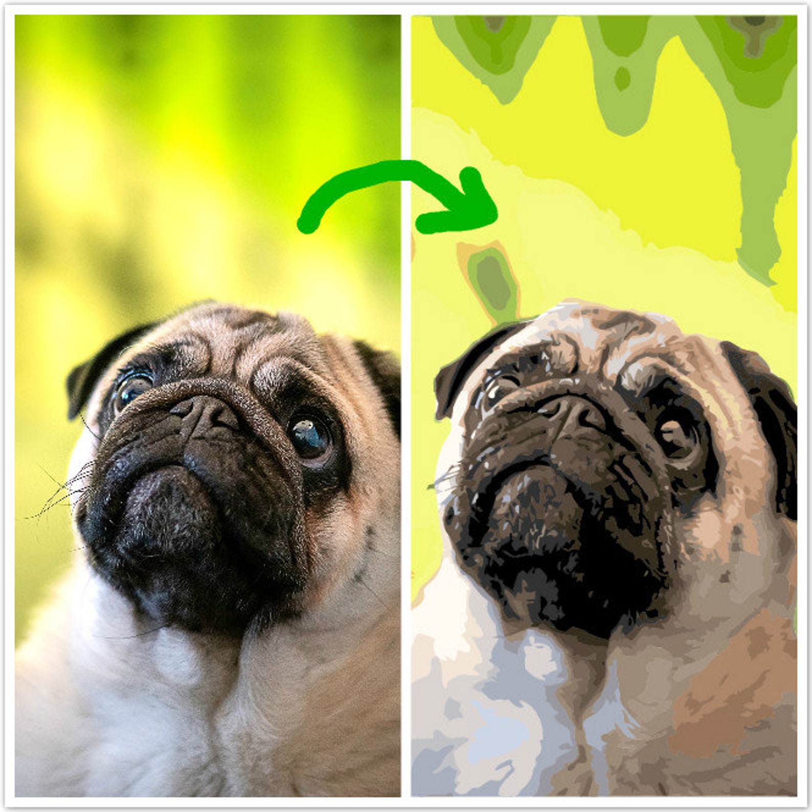 Custom Paint by Number Kitcustom Pet Portrait Dog Paint by Etsy