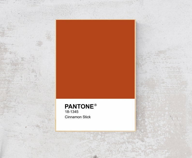Pantone Pantone Cinnamon Stick PANTONE 2020 Fashion Wall Etsy
