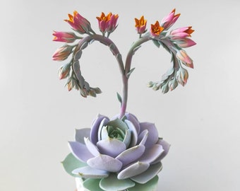 Real Touch Succulente in fiore – Succulente artificiale realistica di lusso – Echeveria Lola 2 fiori – Scultura in argilla succulenta – Pianta da terrario