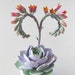 see more listings in the Succulents section