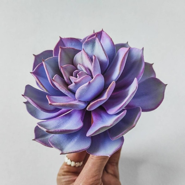 Plante succulente perle violette Echeveria - succulente artificielle - sculpture en argile succulente - plante de terrarium - décoration de bureau - succulente faite main