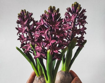 Real Touch Purple Hyacinth – Deep Burgundy Hyacinth – Hyacinth With Bulb And Roots – Artificial Bulbous Hyacinth – Hyacinth Clay Sculpture