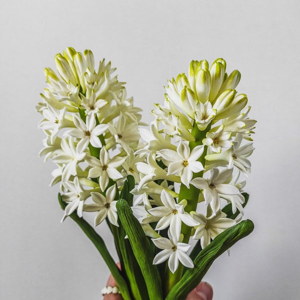 Real Touch White Hyacinth – Hyacinth With Bulb And Roots – Artificial Luxury Realistic Hyacinth – Hyacinth Clay Sculpture - Realistic Flower