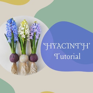 Könnte beinhalten: Drei Hyazinthenzwiebeln mit Wurzeln, eine mit violetten Blüten, eine mit weißen Blüten und eine mit hellvioletten Blüten. Die Zwiebeln liegen auf einer weißen Oberfläche mit hellbraunem Hintergrund. Der Text "'HYACINTH' Tutorial" befindet sich auf einem blauen Hintergrund.