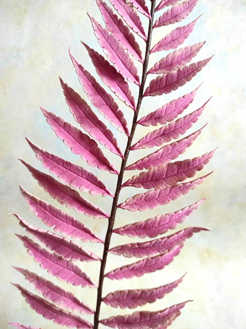 Real Touch Artificial Pink Fern Fern Leaf Artificial Fern Stem Hand Sculpted Clay Fern Luxury Realistic Fern Fern Clay Sculpture image 3