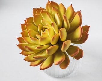 Escultura de suculenta de arcilla hecha a mano / Planta artificial realista / Decoración de terrario falso / Echeveria artificial / Suculenta amarilla