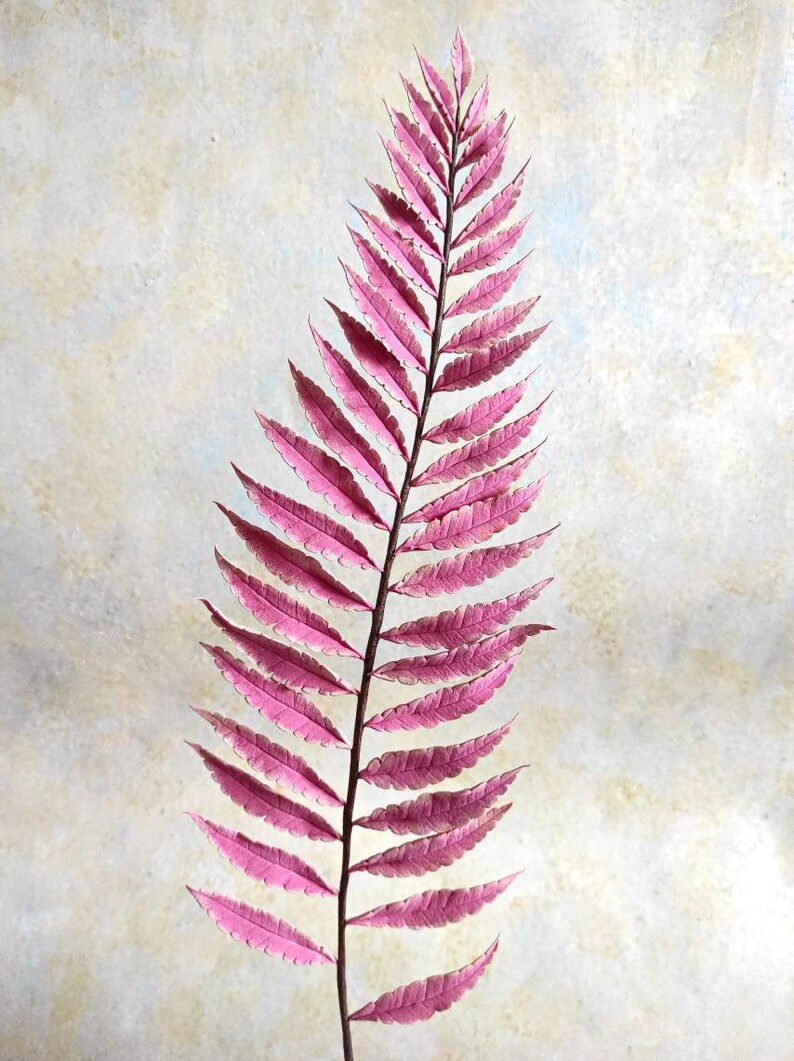 Real Touch Artificial Pink Fern Fern Leaf Artificial Fern Stem Hand Sculpted Clay Fern Luxury Realistic Fern Fern Clay Sculpture image 7