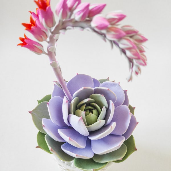 Real Touch Blooming Succulent – Luxury Artificial Realistic Succulent – Echeveria Lola 1 Bloom – Succulent Clay Sculpture – Terrarium Plant