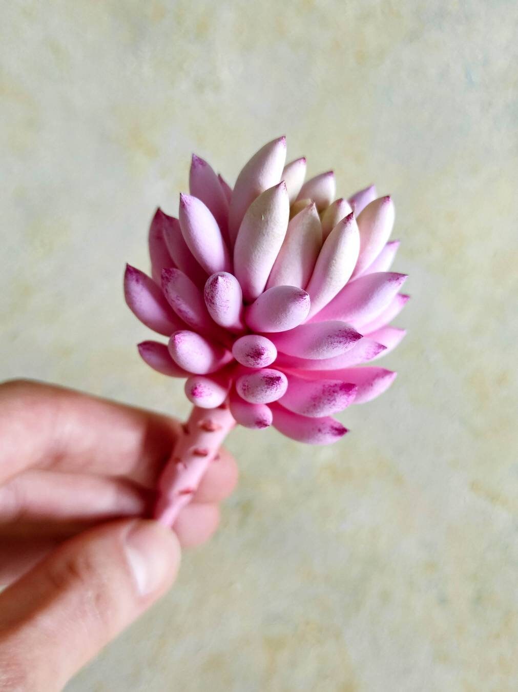 Real Touch Pink Succulent Artificial Succulent No Pot Hand Etsy