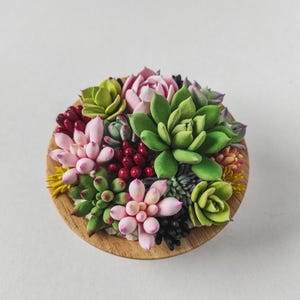 Mini Succulent Garden – Colourful Mini Clay Succulents – Luxury Handmade Succulents – Realistic Succulent Garden – Fairy Garden Plants