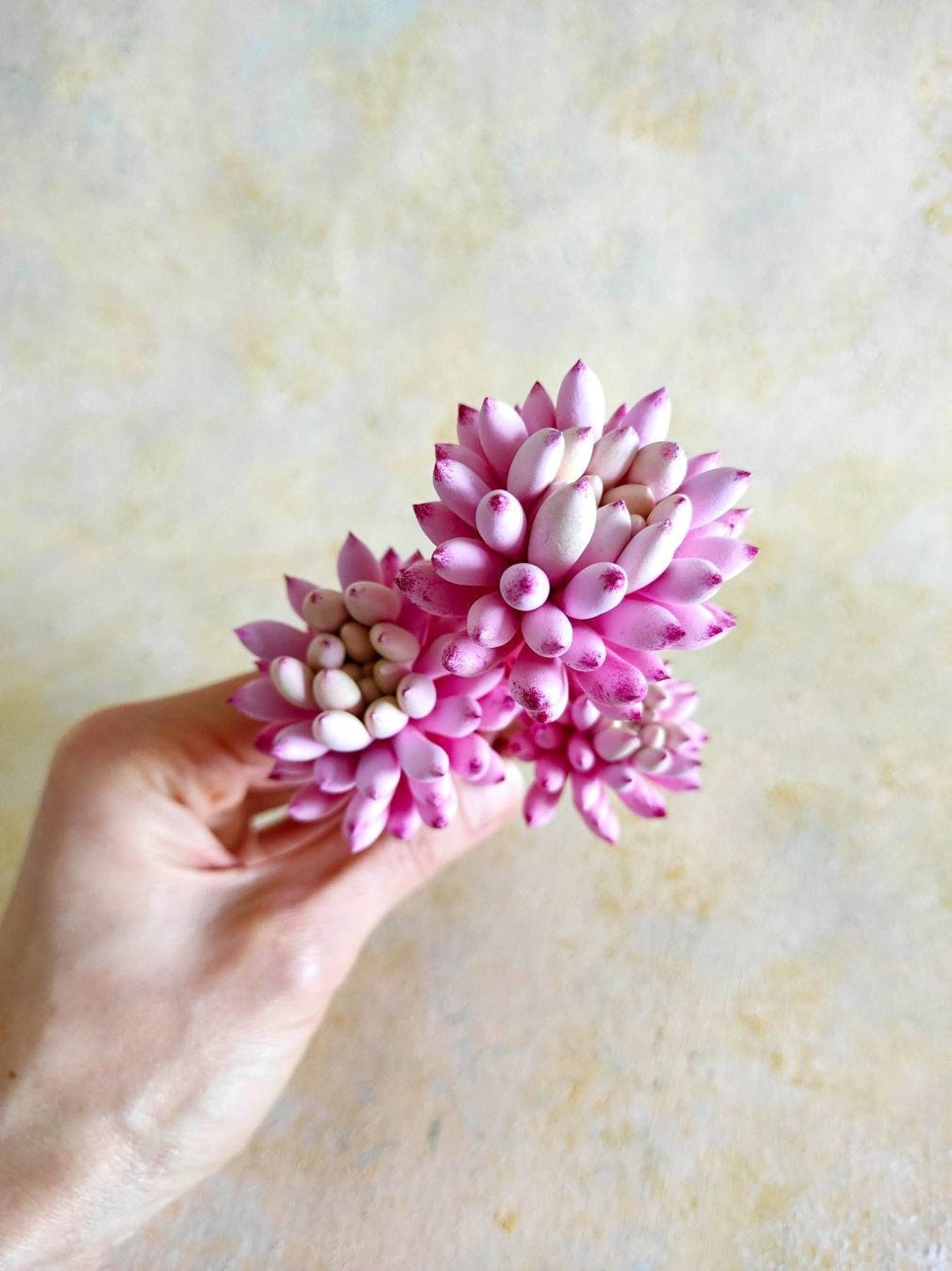 Real Touch Pink Succulent Artificial Succulent No Pot Hand Etsy