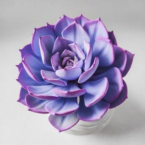 Suculenta de argila feita à mão | Decoração artificial de Echeveria Purple Pearl