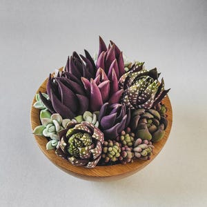 Peut inclure: Un petit bol en bois rempli de succulentes artificielles de différentes couleurs, notamment du vert, du violet et du blanc.