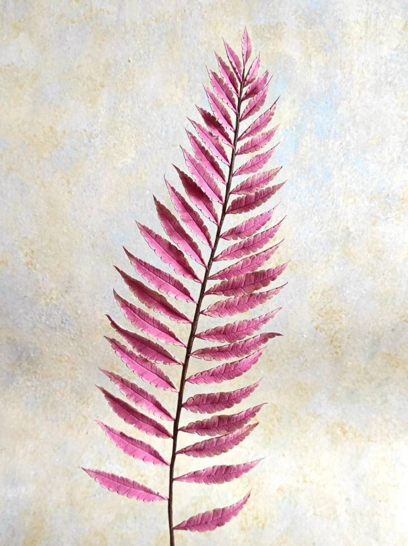 Real Touch Artificial Pink Fern Fern Leaf Artificial Fern Stem Hand Sculpted Clay Fern Luxury Realistic Fern Fern Clay Sculpture image 2