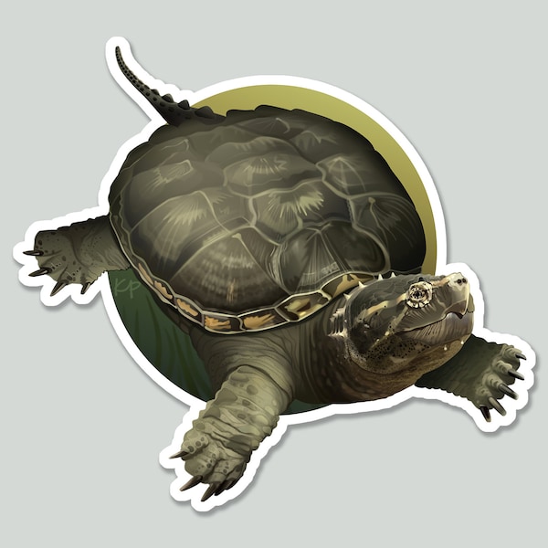 Snapping turtle sticker