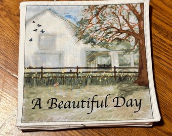 A Beautiful Day cloth fabric baby book, farm fabric book, fabric book, cloth baby book, animals baby book, personalized cloth baby book