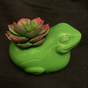 May include: A green ceramic frog-shaped planter holding a faux succulent. The succulent has green and red-tipped leaves. The planter is glossy and sits on a dark background. The frog has a smiling face.