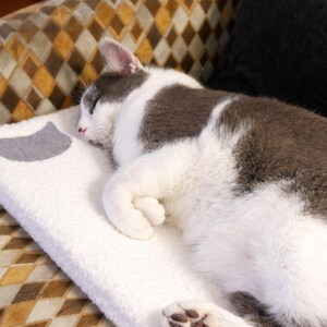 Cómoda y práctica alfombra para gatos: multicapa, suave y transpirable, ideal para sofá, cama, coche o alféizar de la ventana.