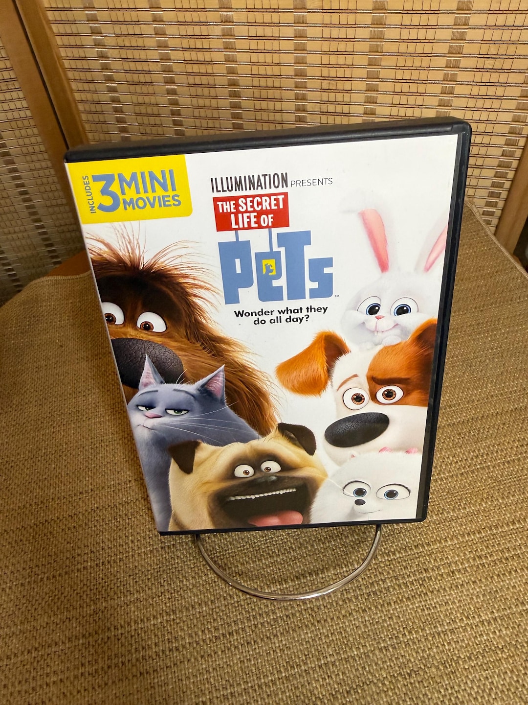 Presents the Secret Life of Pets DVD (used) - Etsy
