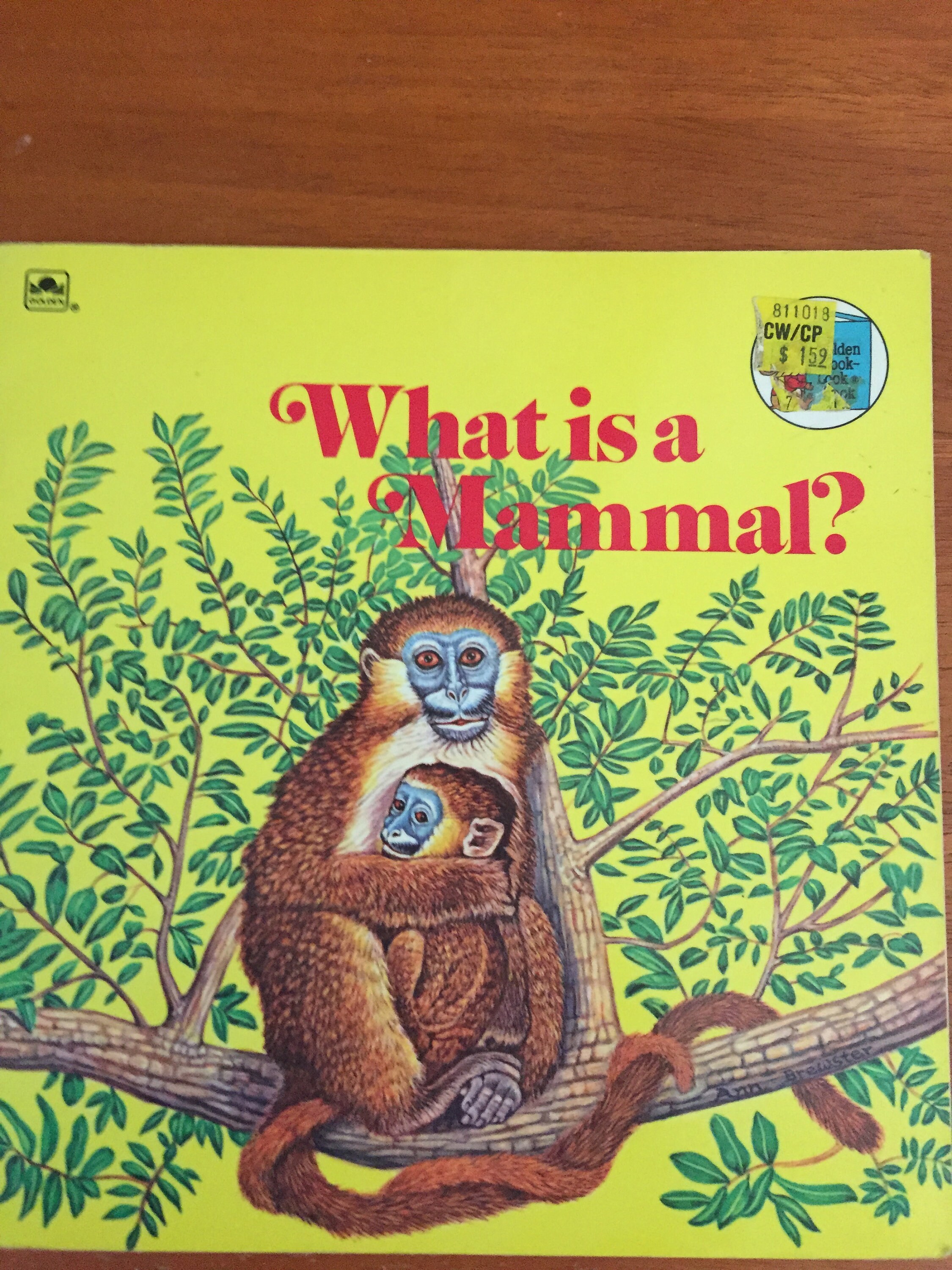 What Is A Mammal By Jennifer W Day Etsy