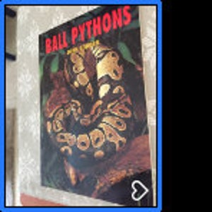 May include: A book cover with the title "Ball Pythons" in large, bold letters. The cover features a close-up photo of a ball python with a black and yellow pattern.