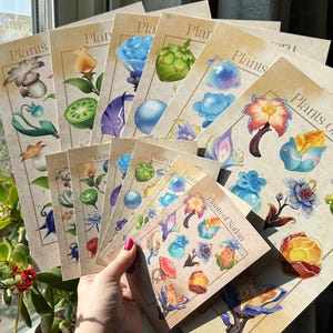 Genshin Impact Region Collectible Prints & Postcards - Mondstadt, Sumeru, Liyue, Inazuma and Fontain Encyclopedia Art