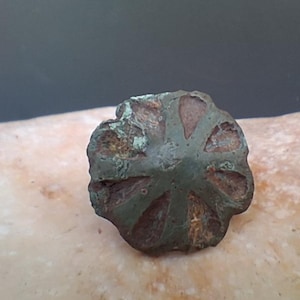 12世紀から14世紀にかけてのエナメル加工を施した中世の青銅ボタン