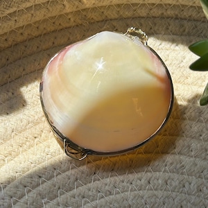 May include: A decorative shell-shaped trinket box with a gold-colored metal trim. The shell has a pearlescent, creamy white and pink hue. The box is resting on a woven, beige surface.