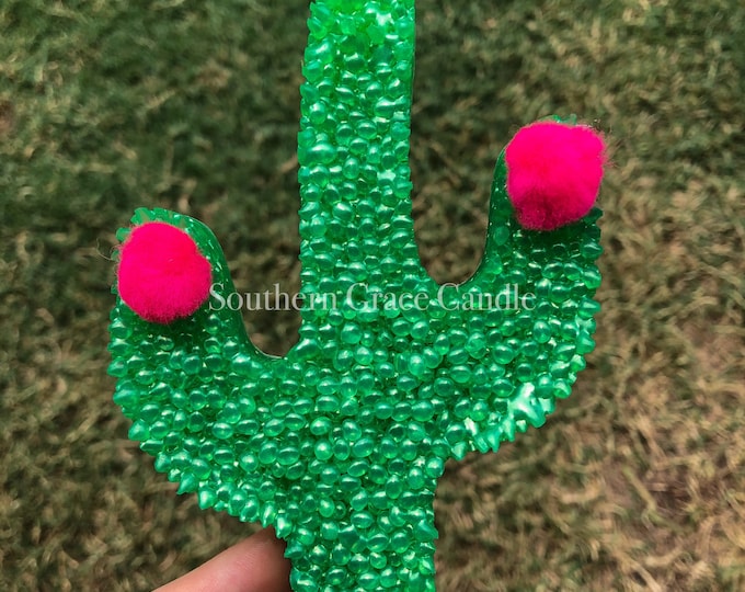 Cactus Car Freshie
