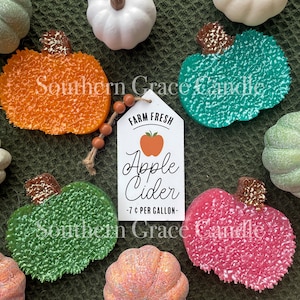 Pumpkin Car Freshie | Pumpkin Car Freshy | Fall Car Freshies | Fall Car Freshy | Pumpkin Freshy | Pumpkin Freshie