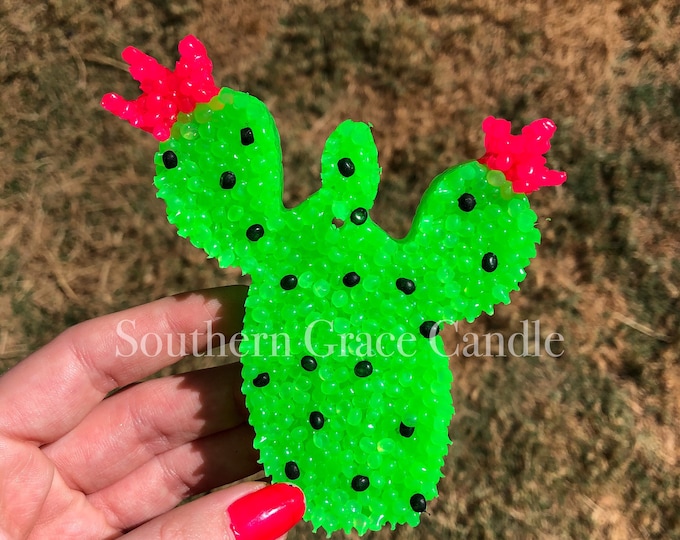 Prickly Pear Cactus Freshie