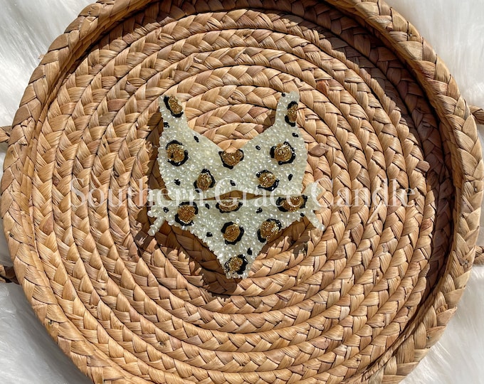 Leopard Bikini Freshie