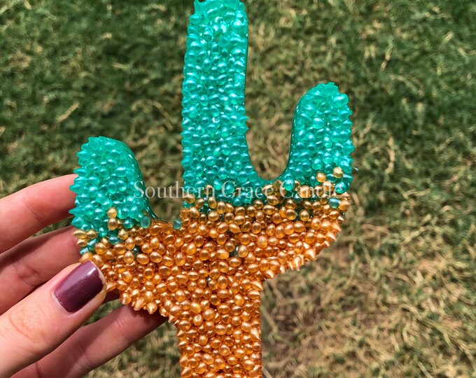 Cactus Car Freshie